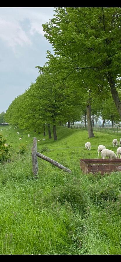 Bungalow Scheldezicht In Zeeland Dicht Bij Zee Scherpenisse Exterior foto