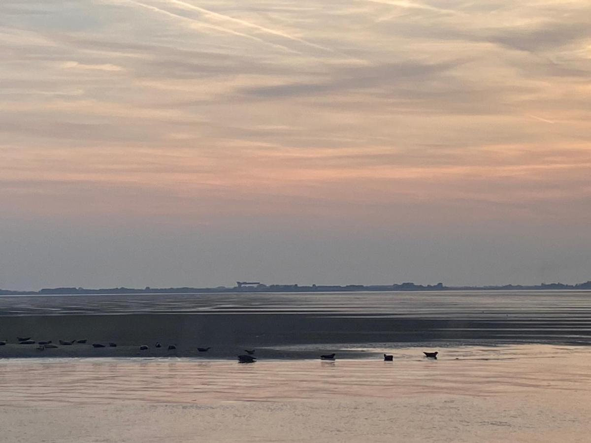 Bungalow Scheldezicht In Zeeland Dicht Bij Zee Scherpenisse Exterior foto